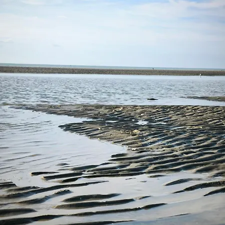 Charme&détente Au Bord De Appartamento Fort-Mahon-Plage