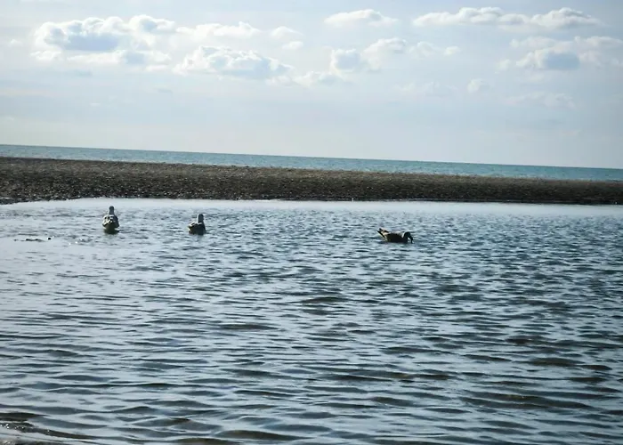 Apartament Charme & Detente Au Bord De Fort-Mahon-Plage