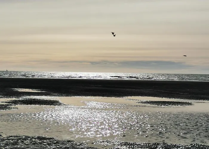 Charme&détente Au Bord De